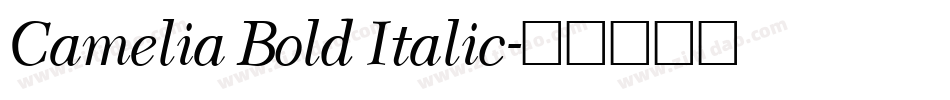 Camelia Bold Italic字体转换